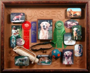 Shadowboxes display a collection with style Shadowboxes display a collection with style